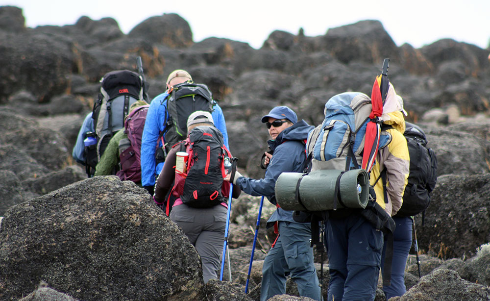 Experiencing Nature Up-Close and Personal on your Kilimanjaro Trekking