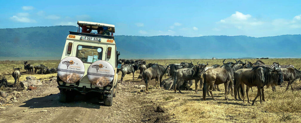 one of the best time to see Serengeti Migration