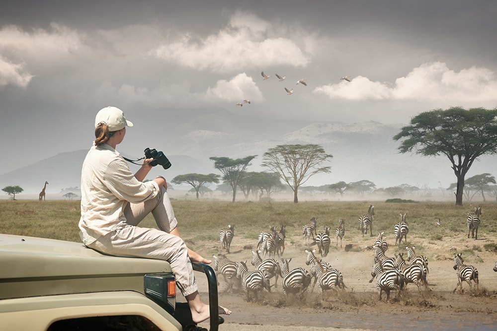 Classic Tours offers Photographic Safaris