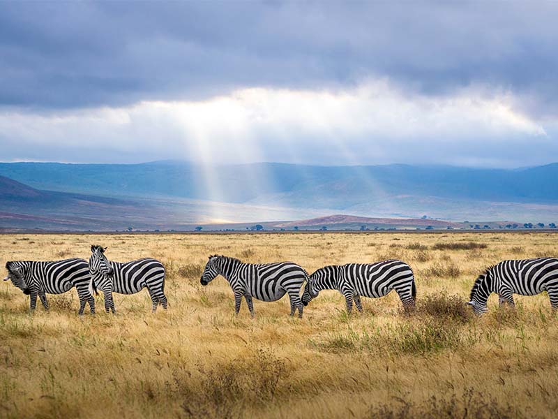 Tanzania tourism landmarks