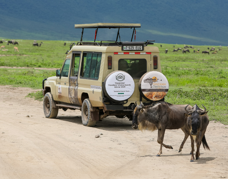 Affordable Tanzania Safari in 2026