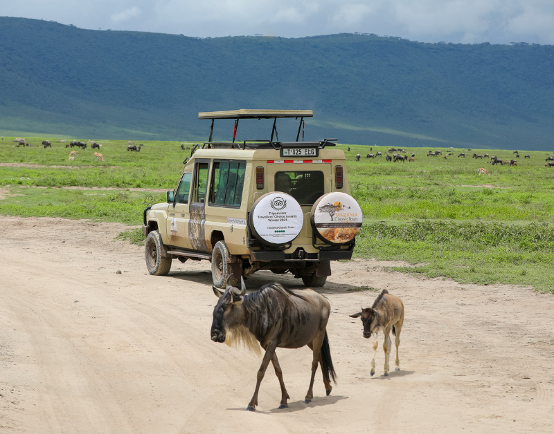 Affordable Tanzania Safari in 2026