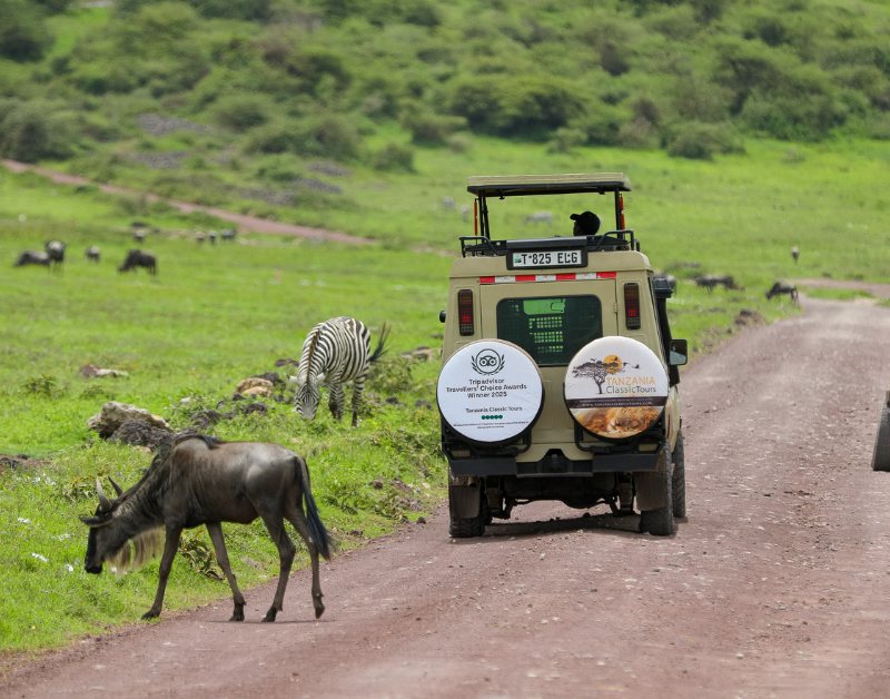 Affordable Tanzania Safari in 2026