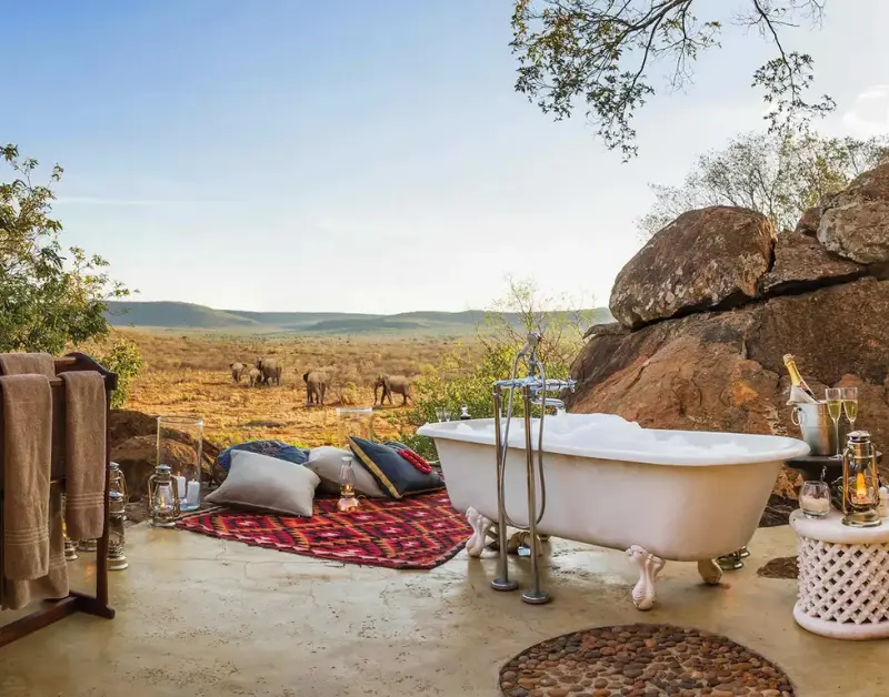 African Safari Honeymoon