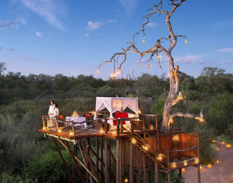 African Safari Honeymoon Packages