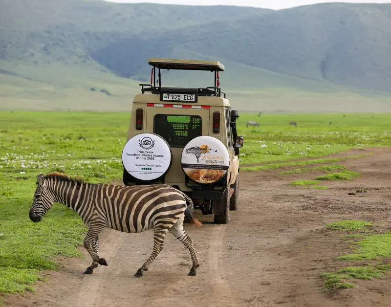 Budget Tanzania Safari