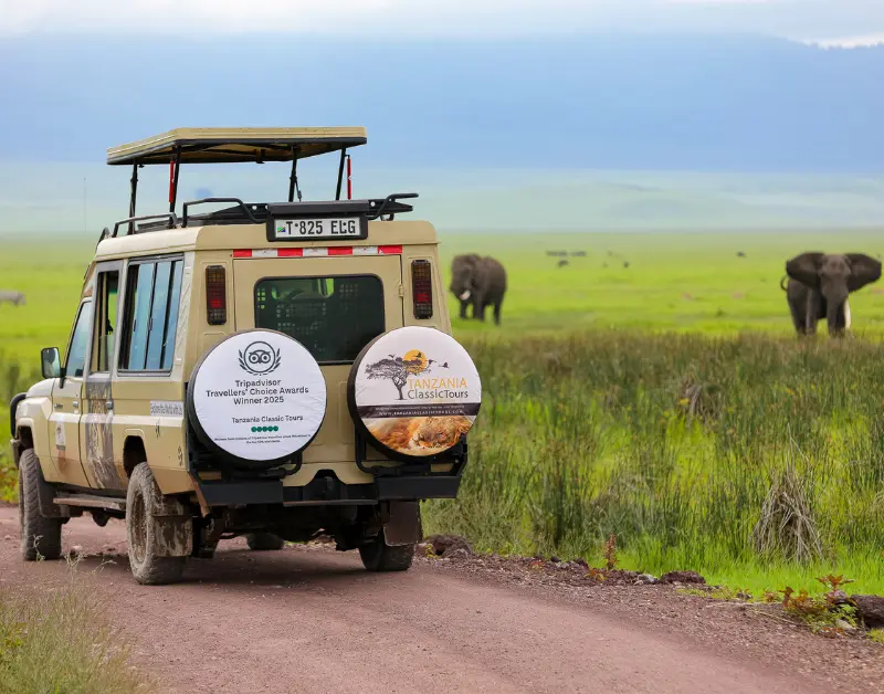Budget Tanzania Safari 2026