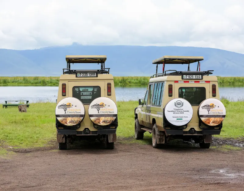 Budget Tanzania Safari 2026