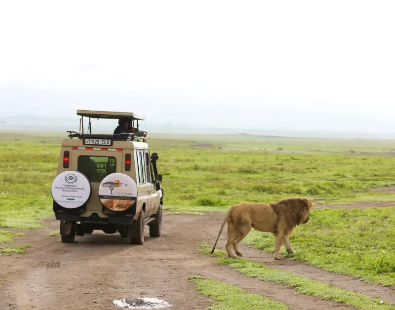 Budget Tanzania Safari 2026
