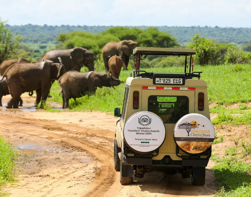 Budget Tanzania Safari