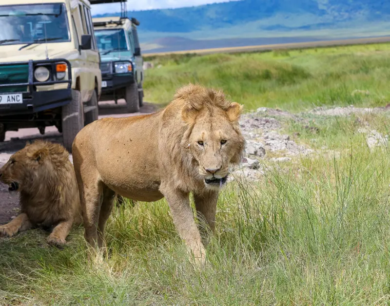 Tanzania Classic Tours