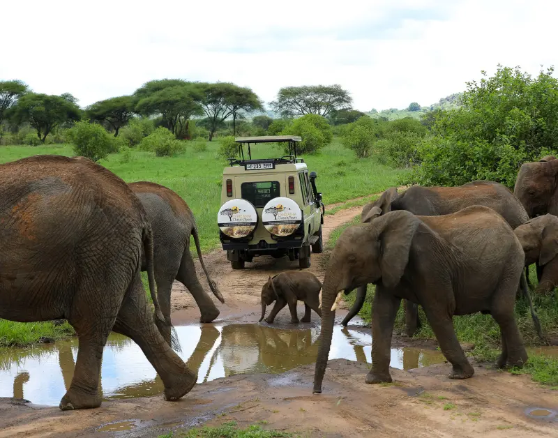 Tanzania Family Vacations