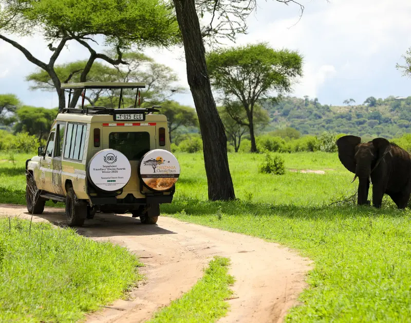Tanzania Family Vacations