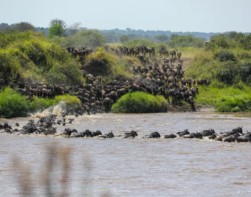 Tanzania Tour Packages