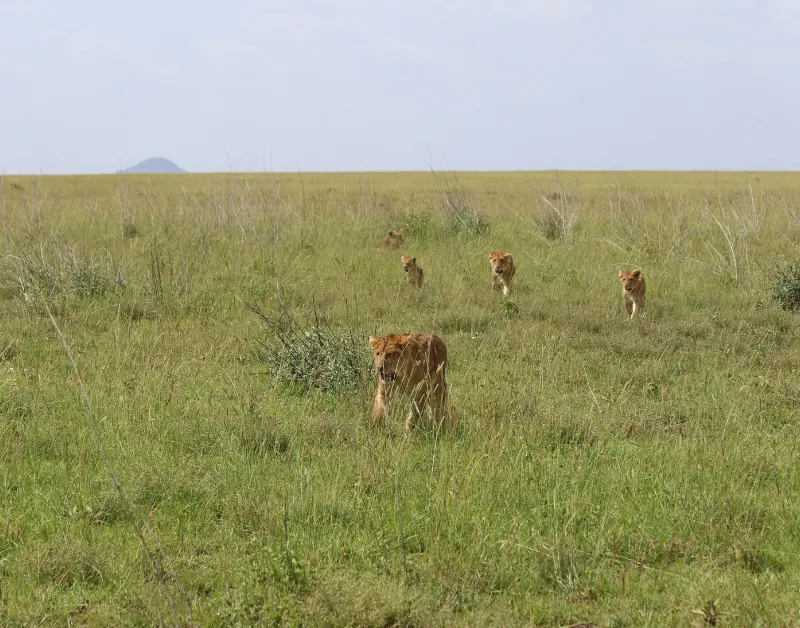Tanzania is Safe for Tourists