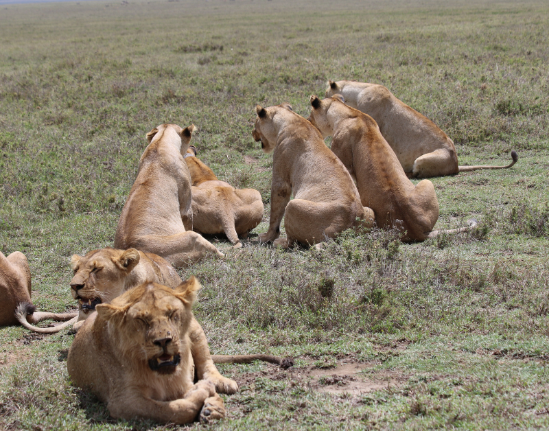 Tanzania is Safe for Tourists
