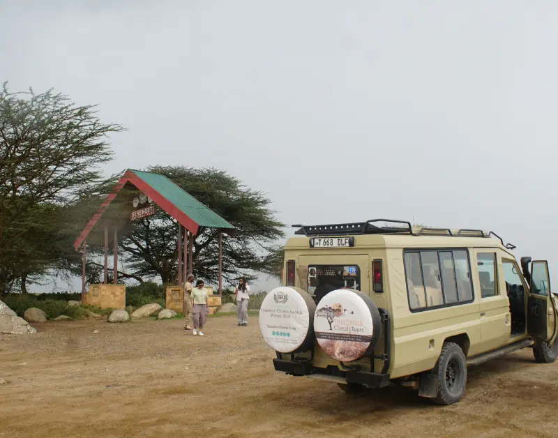 Tanzanian Safari Experience