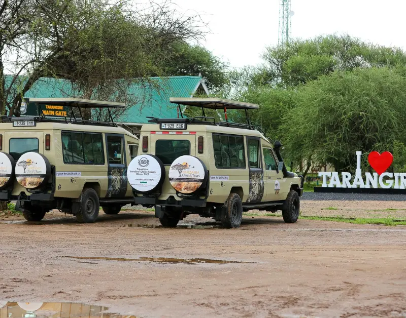 Tanzanian Safari Holiday
