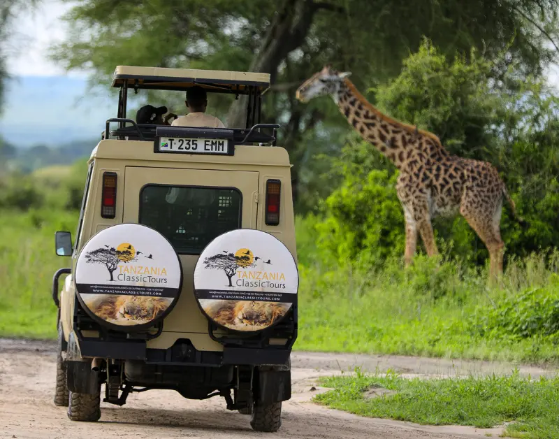 Tanzanian Safari Holidays