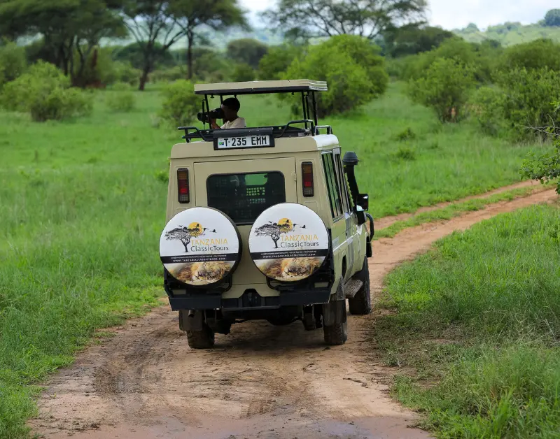 Tanzanian Safari Packages