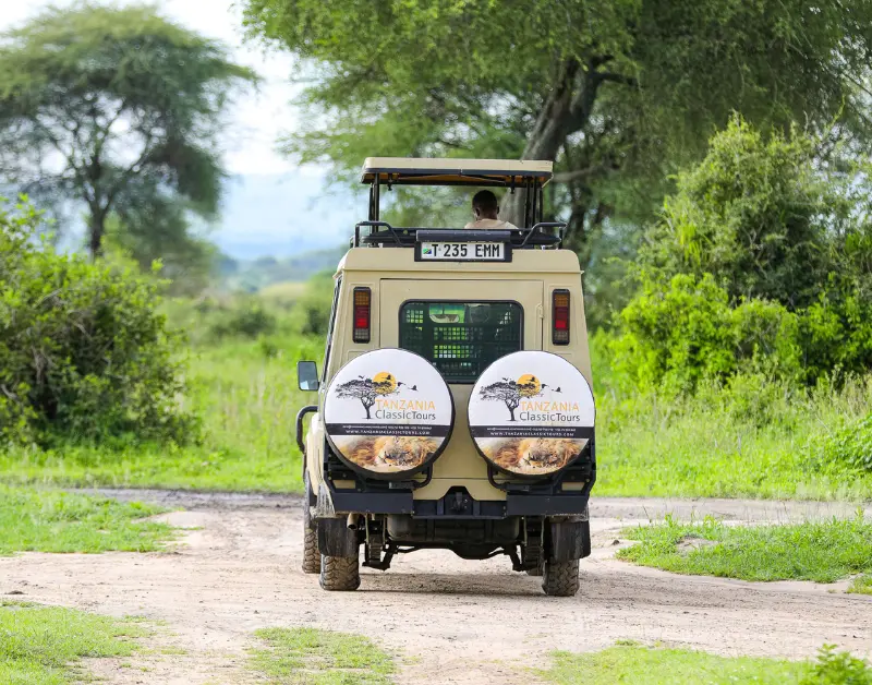 Tanzanian Safari Packages