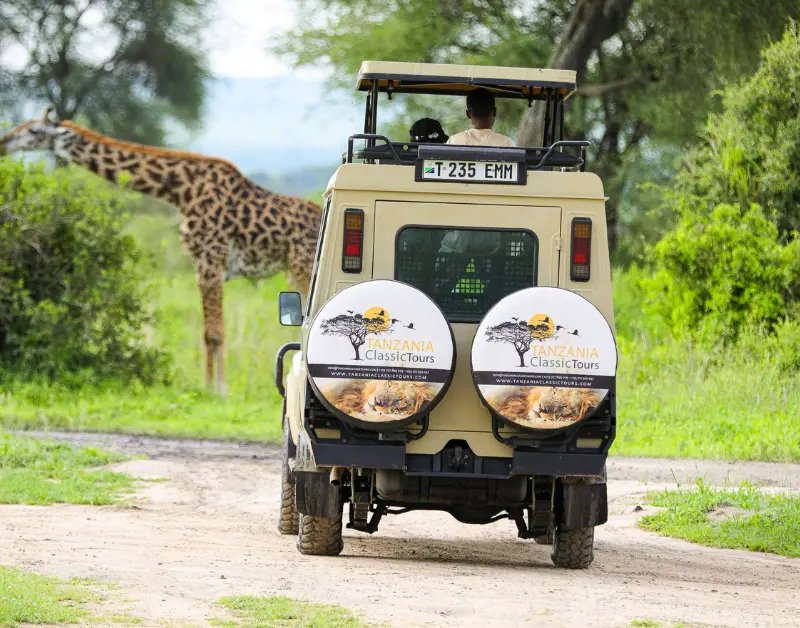 Tanzanian Safari Packages
