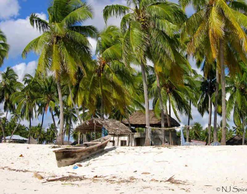 Zanzibar Beaches