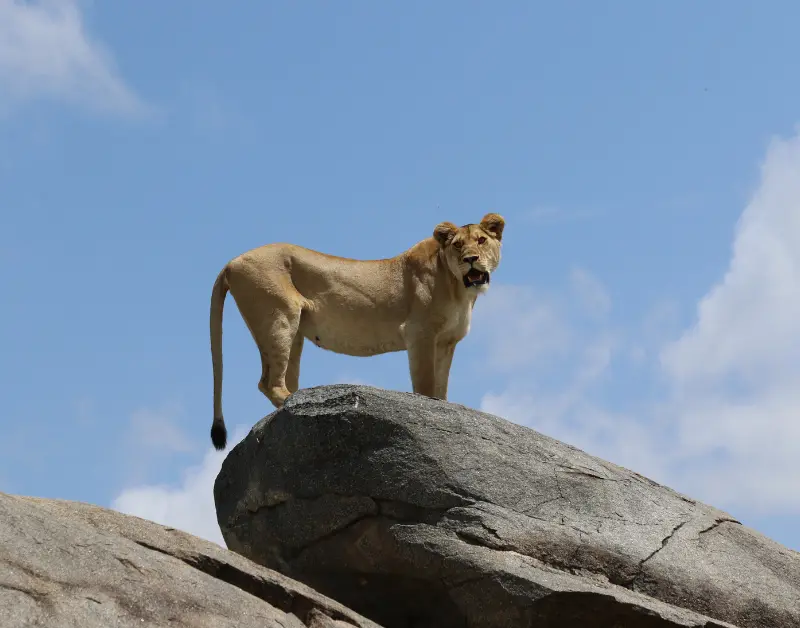 is Tanzania Safe for Tourists