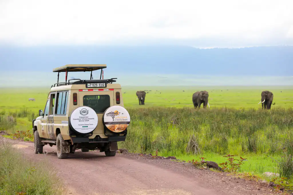 African Safaris : What to See in Tanzania Tourism