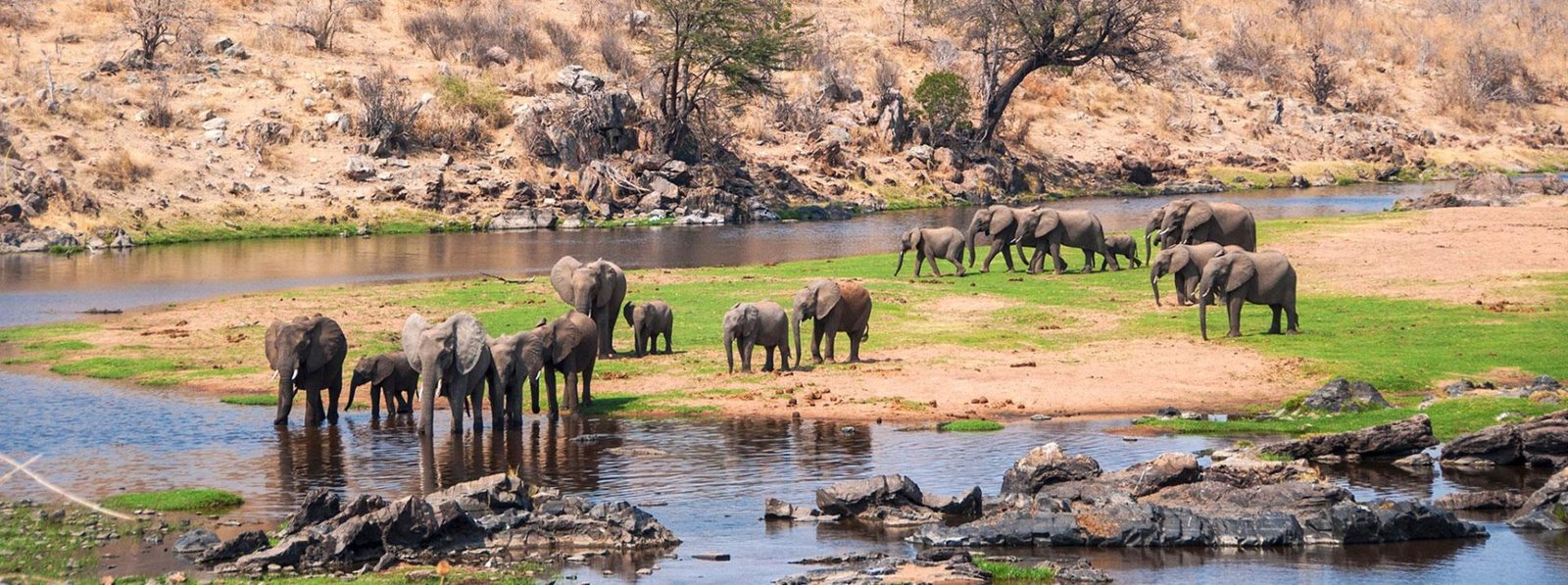 Parque Nacional Ruaha