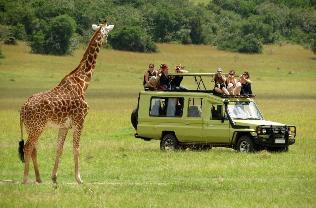 best safaris in tanzania