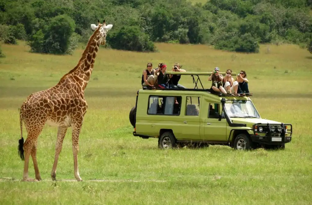 best safaris in tanzania