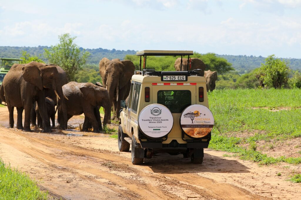 trips to tanzania africa