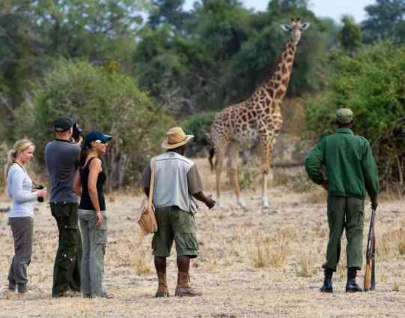 best african safari tours for couples