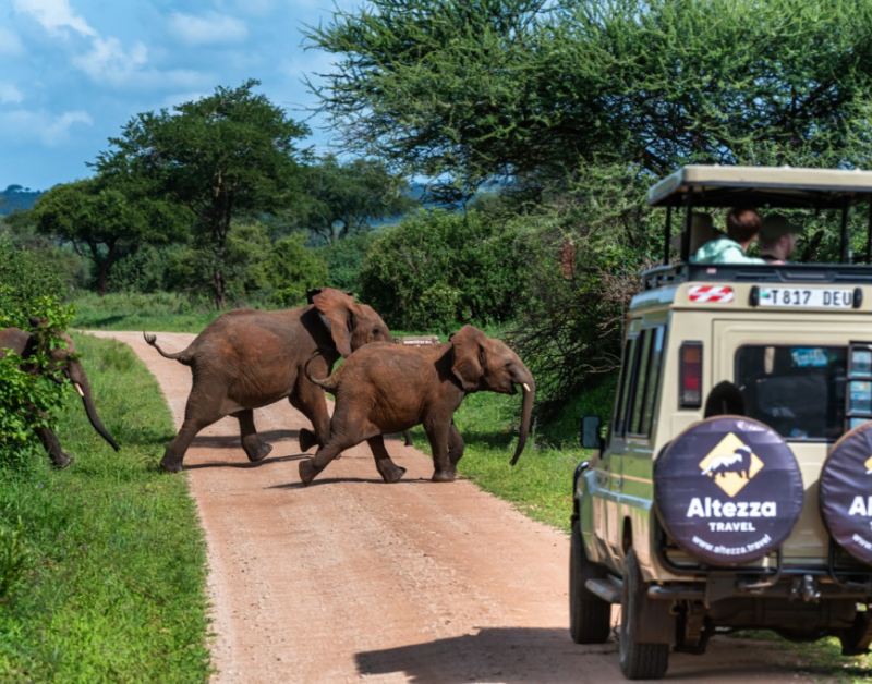best african safari tours for couples