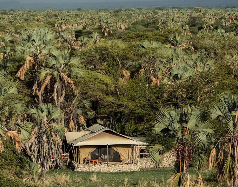 best safari lodges in tanzania
