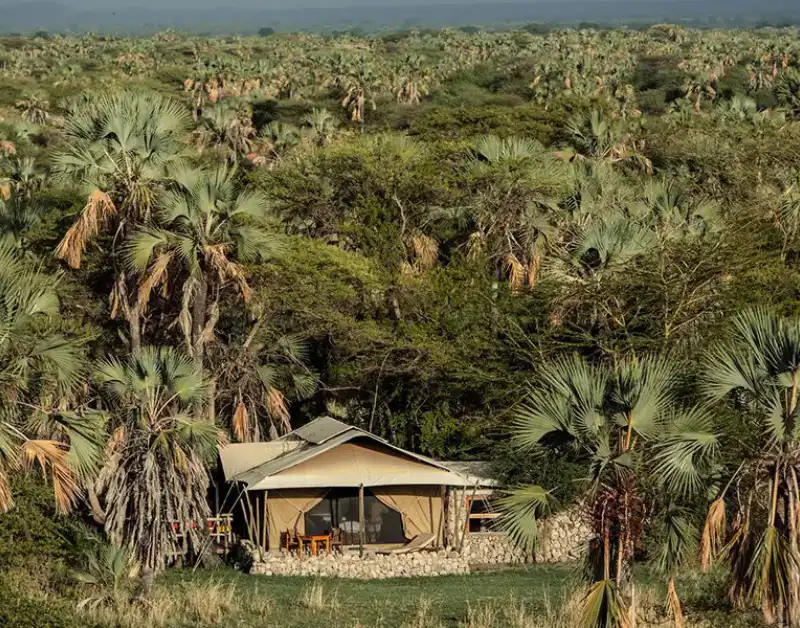 best safari lodges in tanzania
