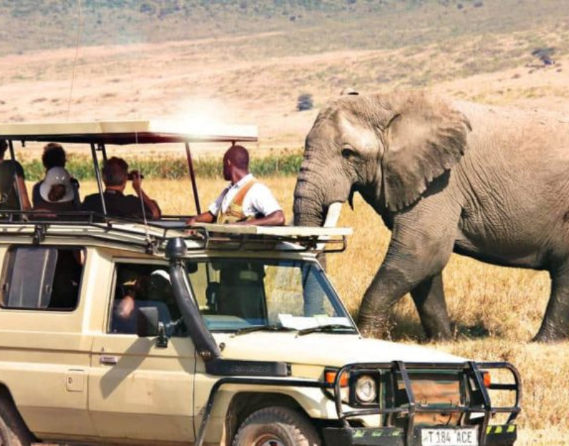 luxury tanzania safari tours