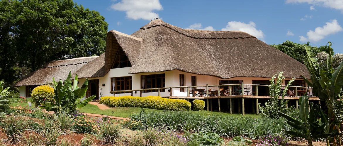 best safari lodges in Tanzania