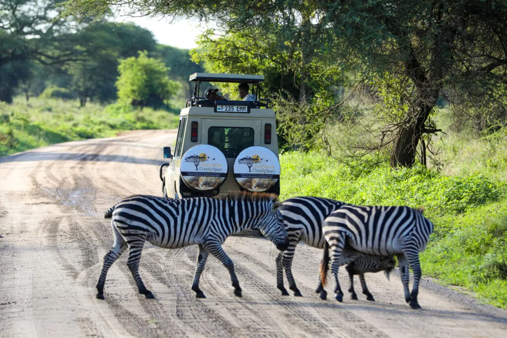Mkomazi Wilderness Retreat