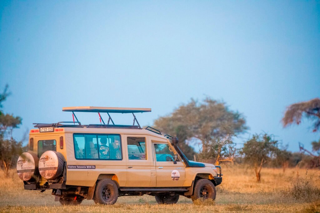 6 Days Best Northern Tanzania Safari