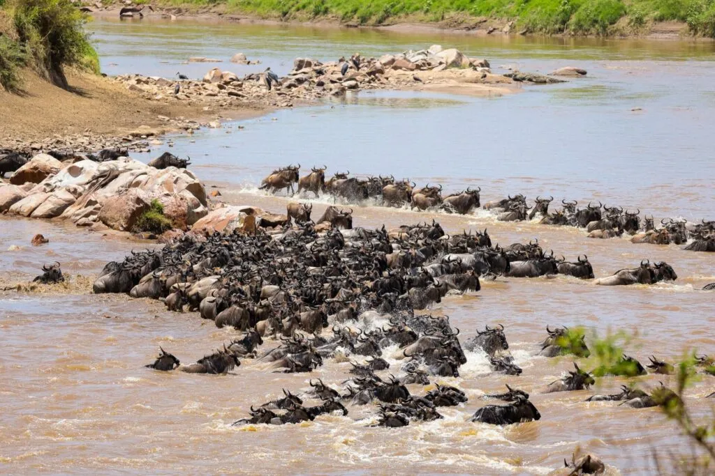 Mkomazi Wilderness Retreat