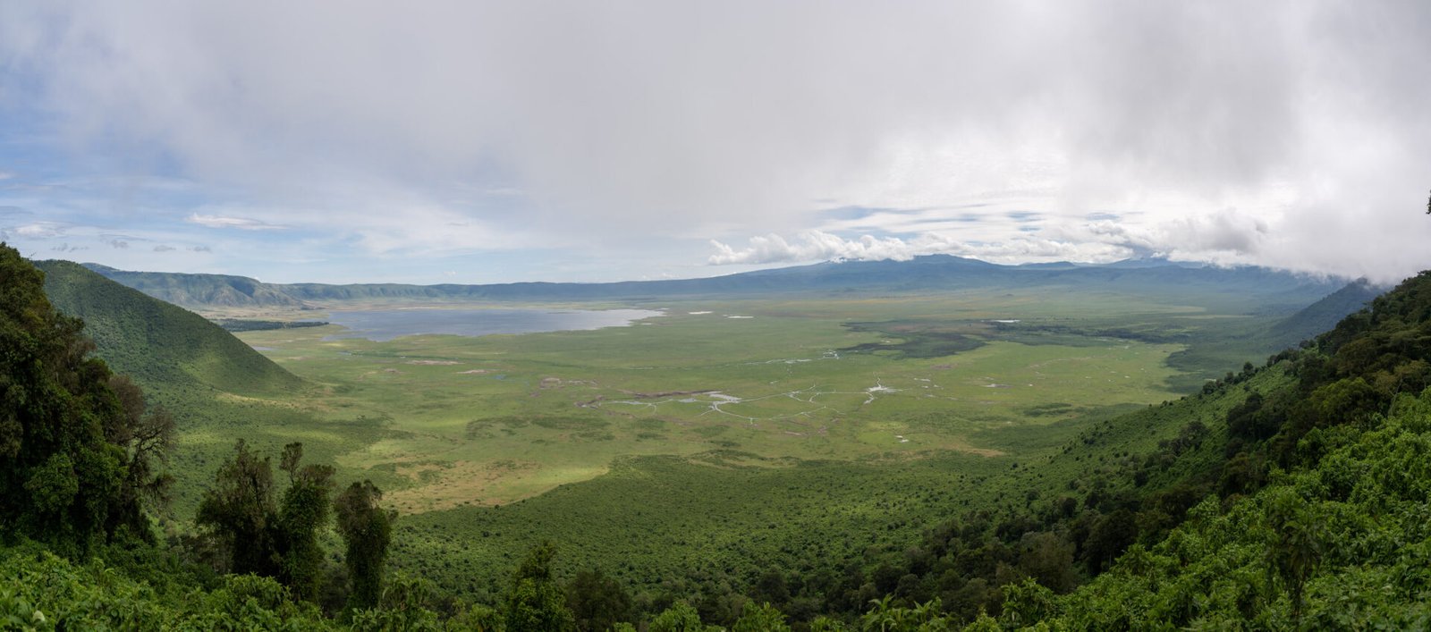 _JPM9871-Pano