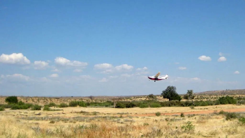 Fly in Safari Tanzania