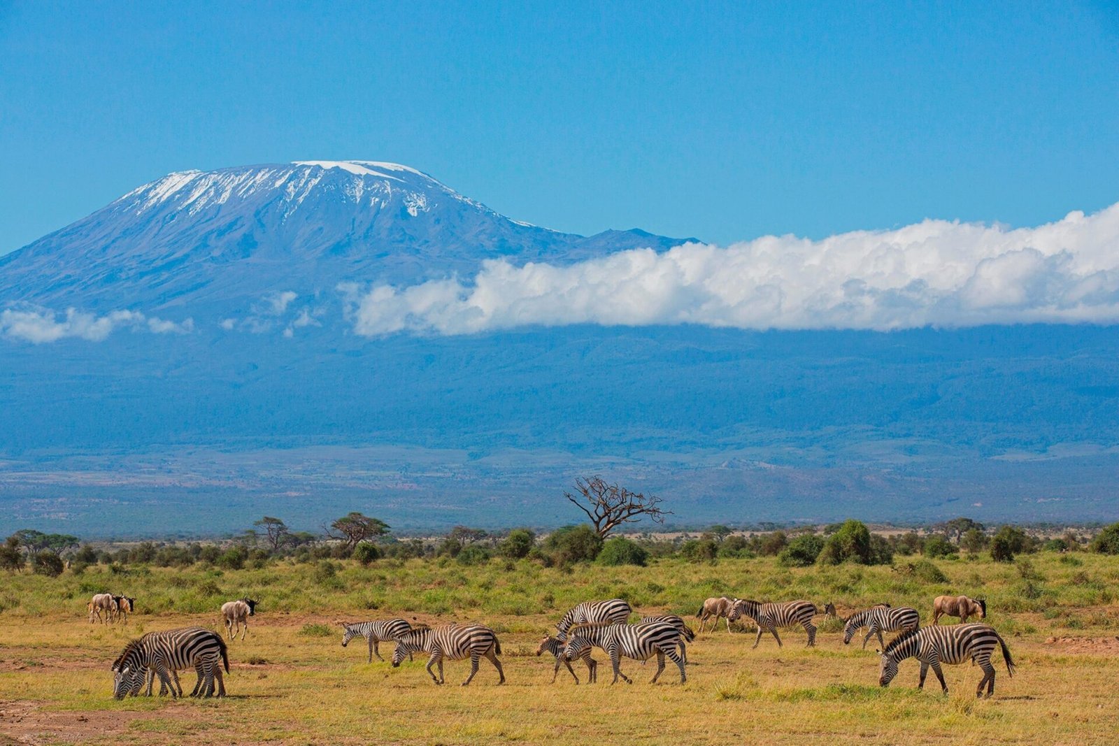 kilimanjaro_F1YX33_HR