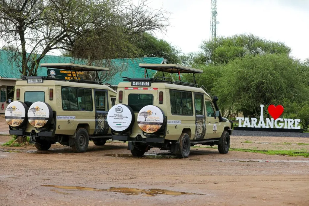 What Are The Best Safari Companies In Tanzania?