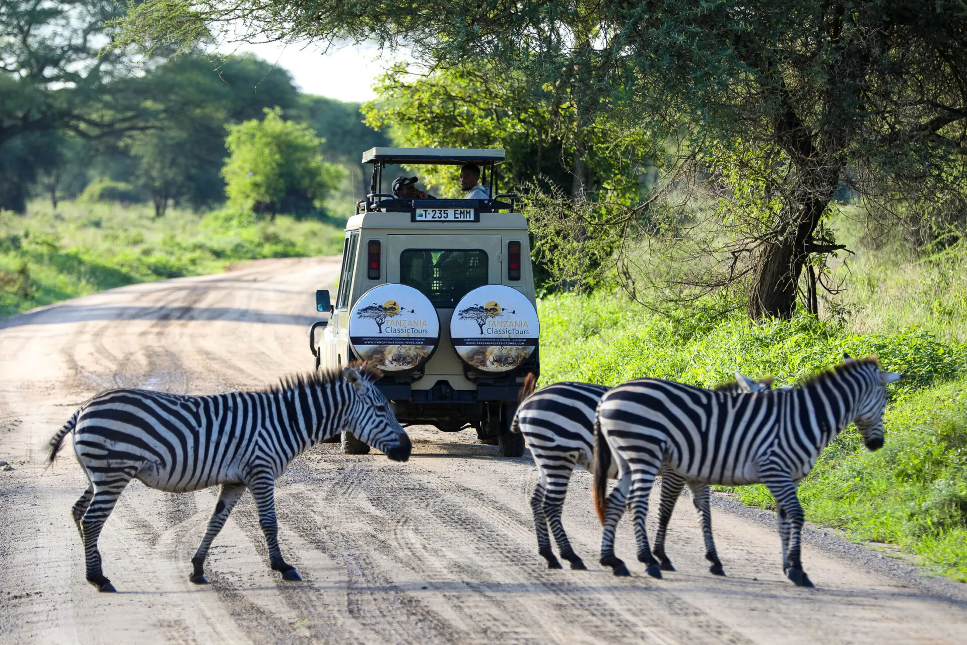 Tarangire National Park- Tanzania Classic Tours