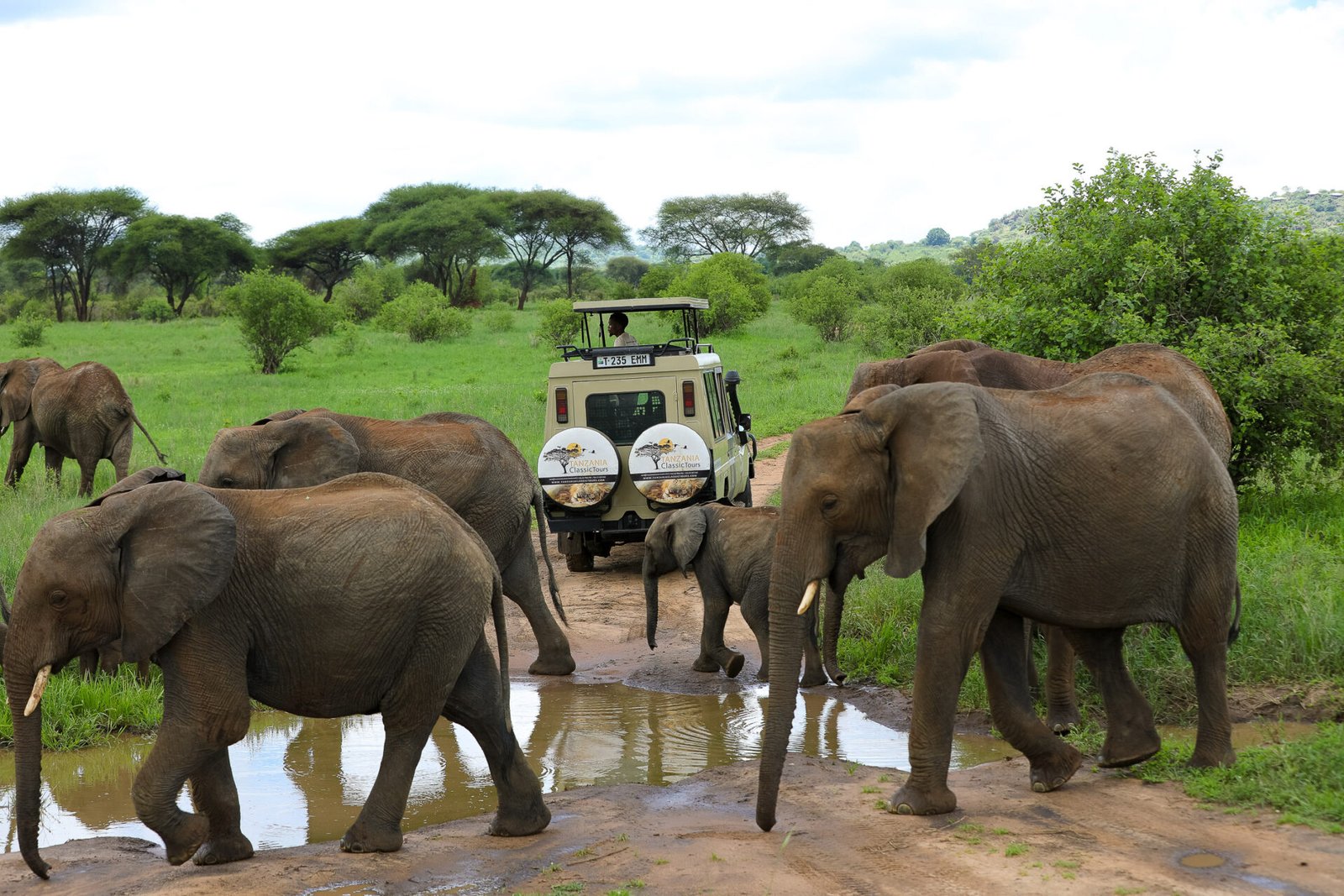safari tanzania serengeti