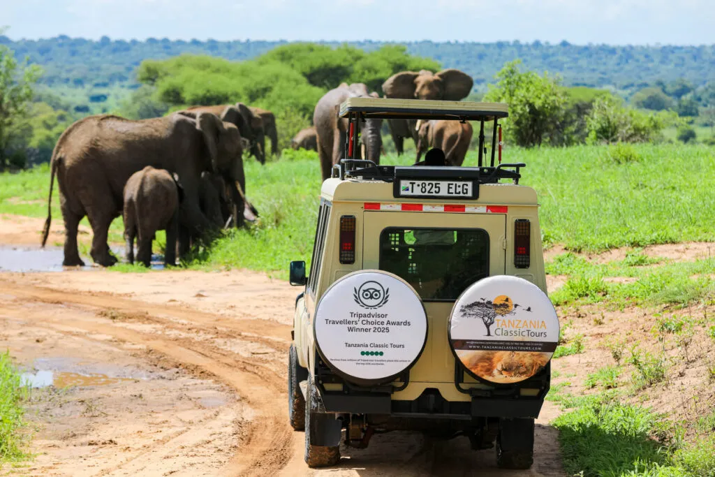 Tarangire National Park