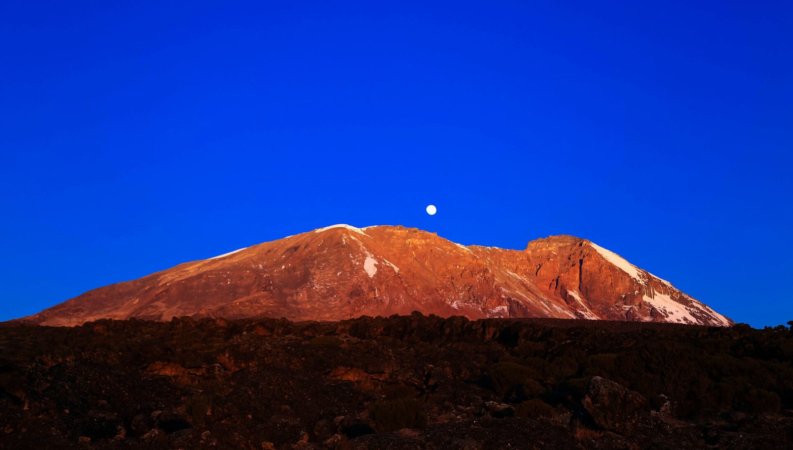8-Day Mt Kilimanjaro Lemosho Route Trek